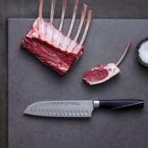 Tyrolit Santokumesser Fleisch TYROLIT Life Santokumesser Fleisch
