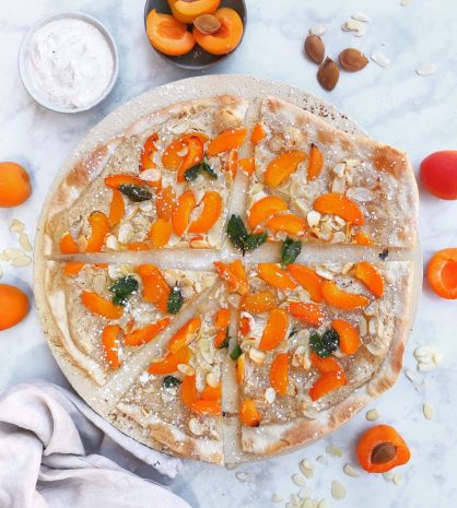 TYROLIT Life Flammkuchen Marille TYROLIT Life Flammkuchen Marille